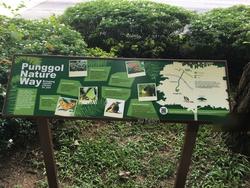 Blk 212B Compassvale Drive (Sengkang), HDB 4 Rooms #122758172